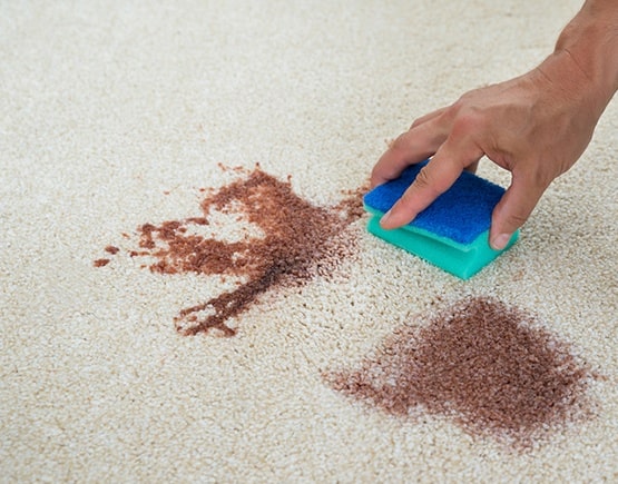 carpet stain removal belair